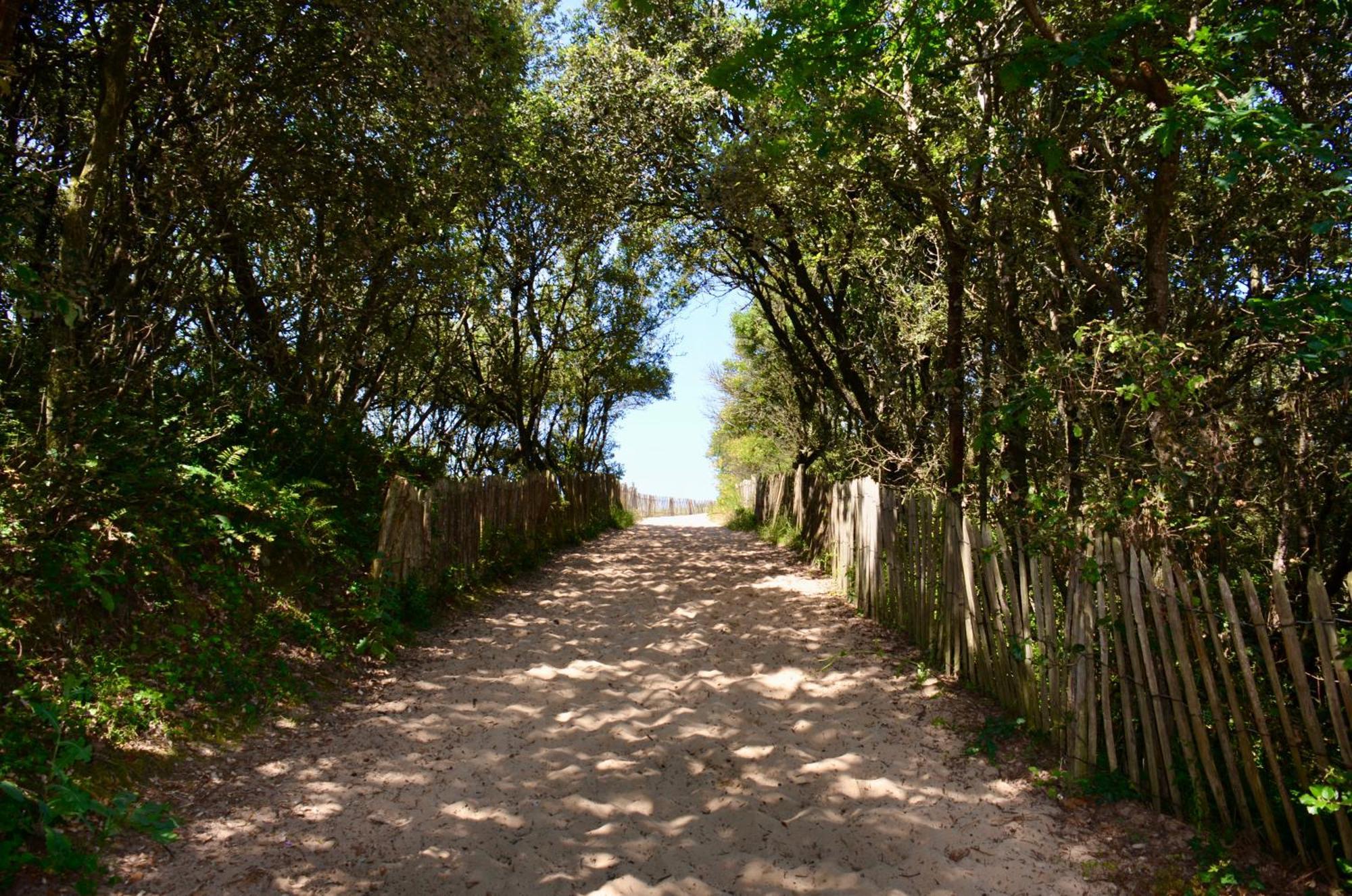 Camping Le Clos Des Pins لونجفيل-سور-مير المظهر الخارجي الصورة